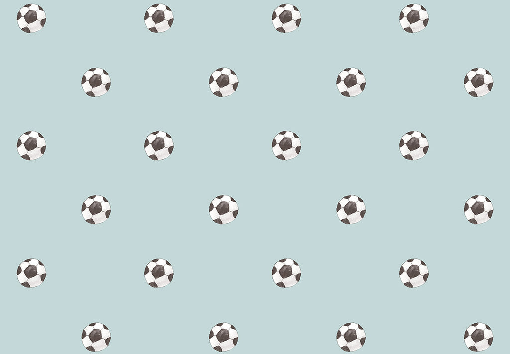 MOMI Goal 4454