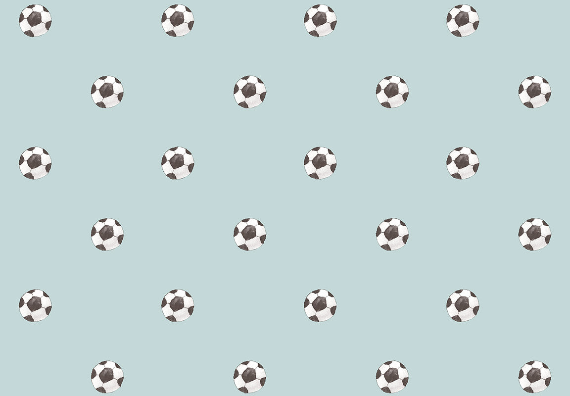 MOMI Goal 4454
