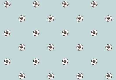MOMI Goal 4454