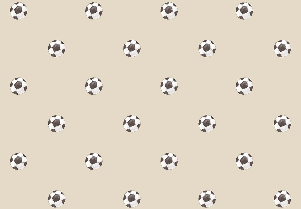 MOMI Goal 4455