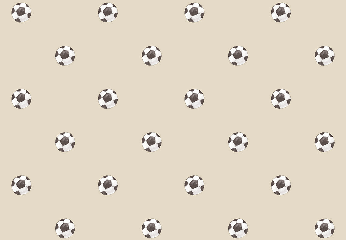 MOMI Goal 4455