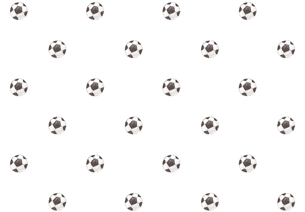 MOMI Goal 4456