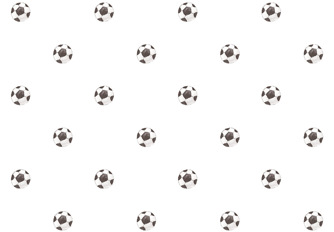 MOMI Goal 4456