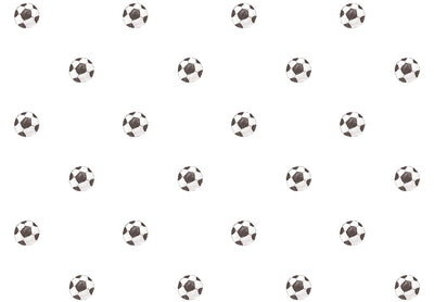 MOMI Goal 4456