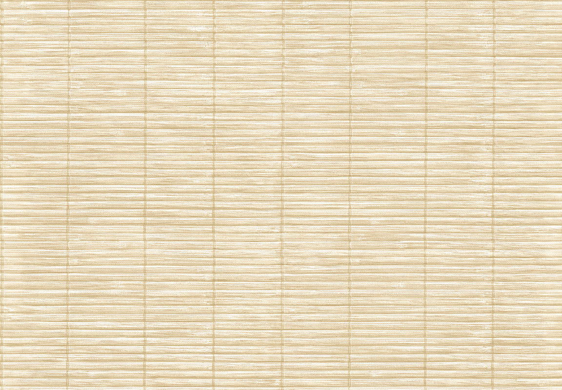 MOMI Bali 4470