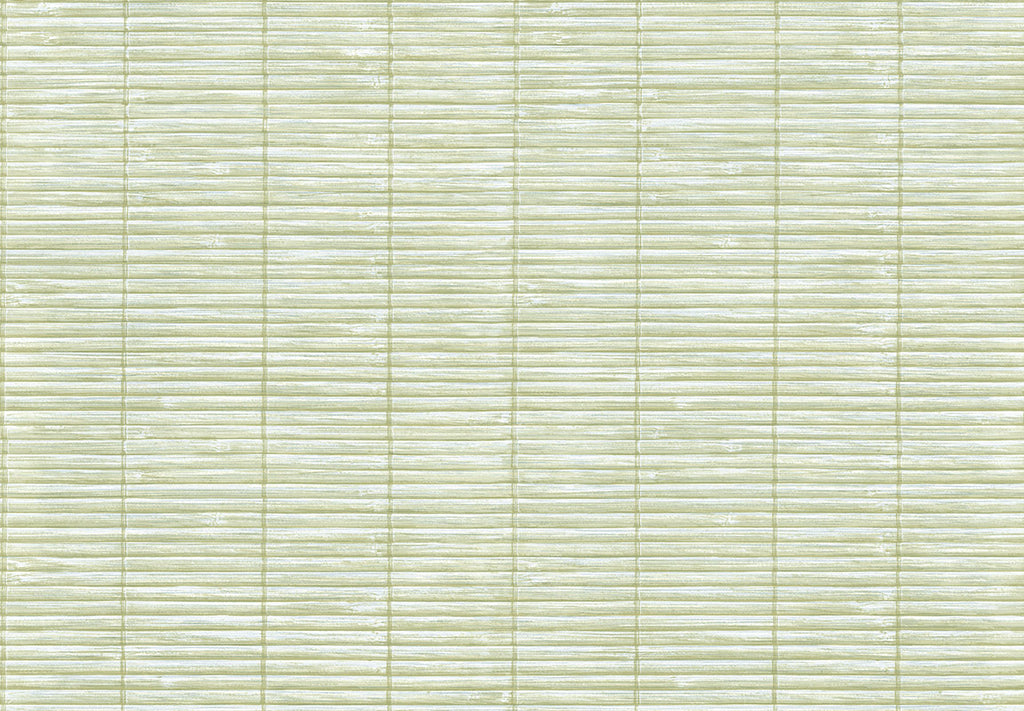 MOMI Bali 4472