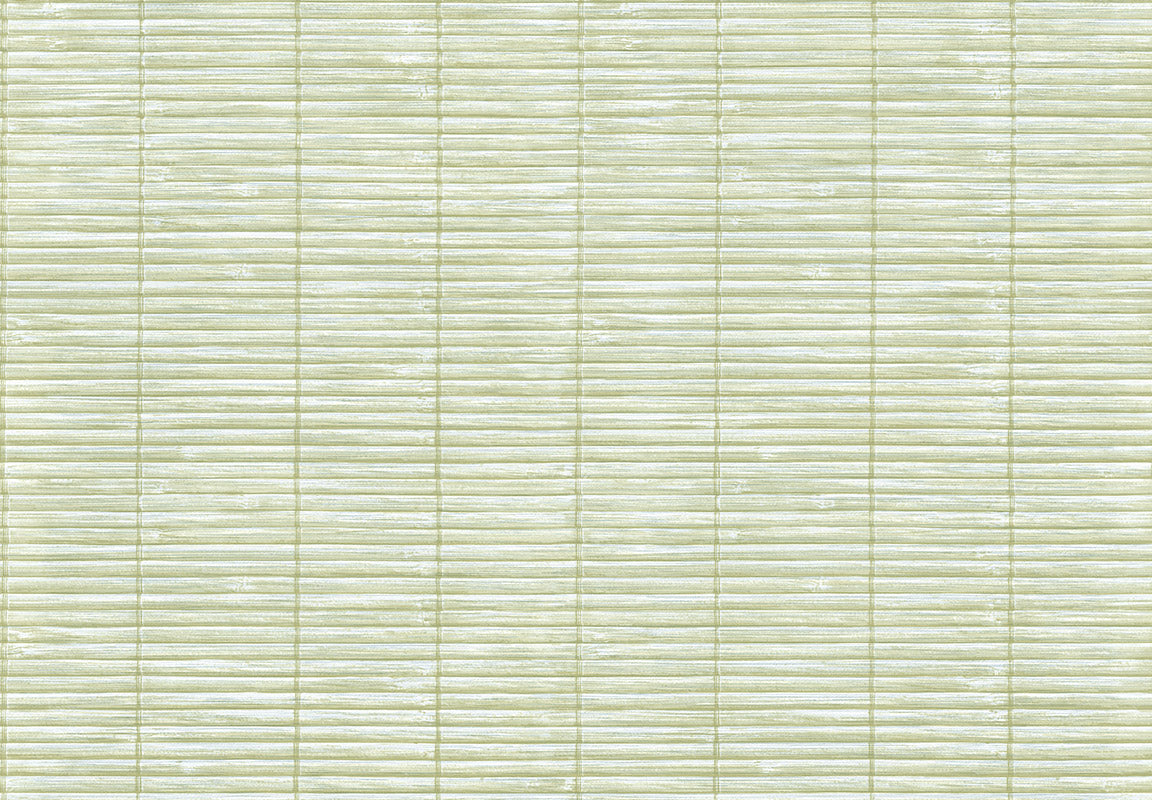 MOMI Bali 4472