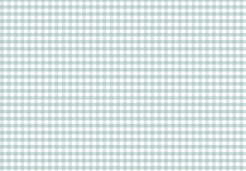 MOMI Picnic 4484