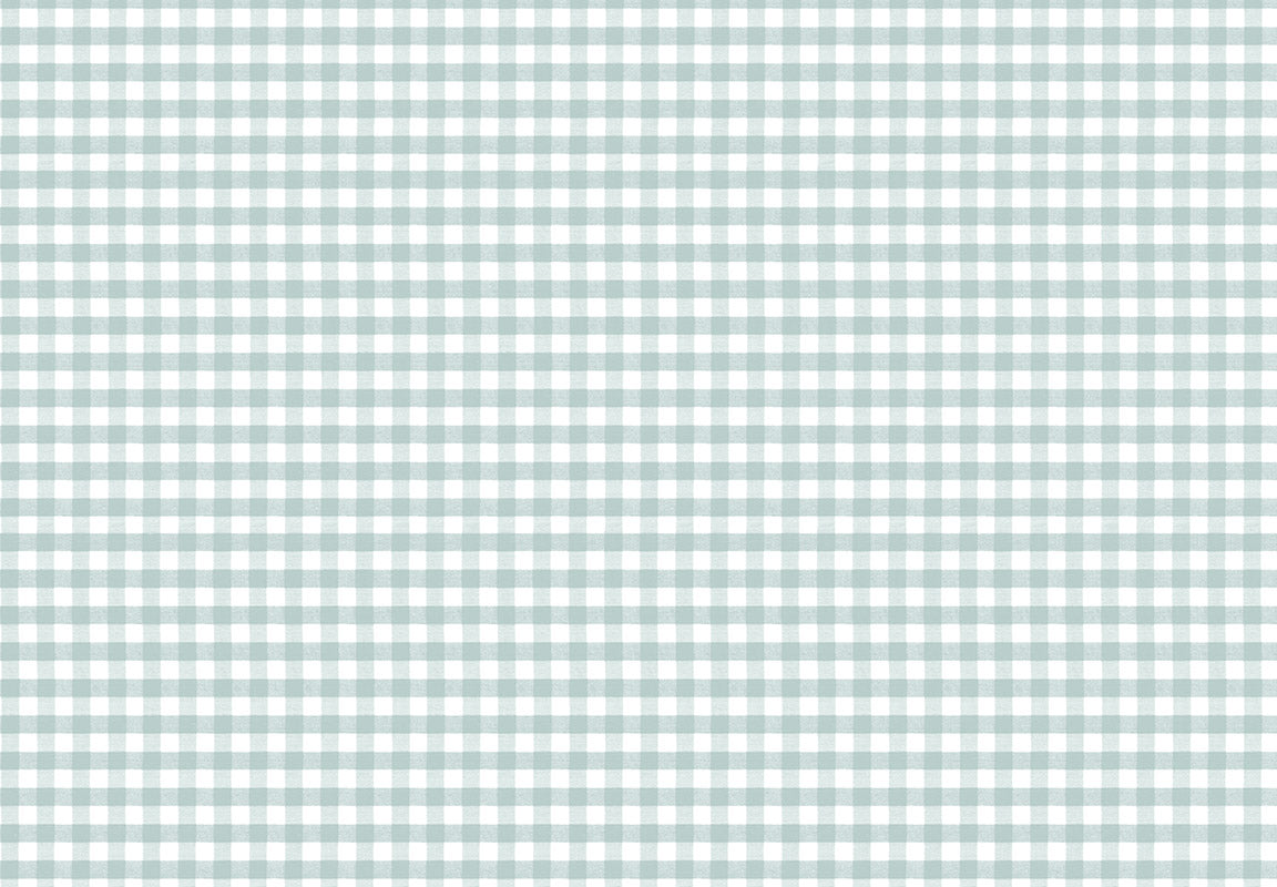 MOMI Picnic 4484