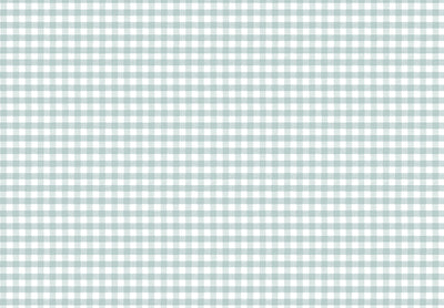 MOMI Picnic 4484