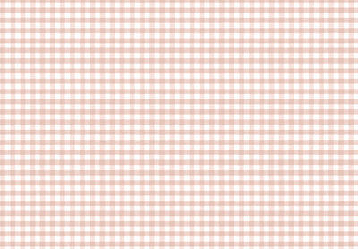 MOMI Picnic 4485