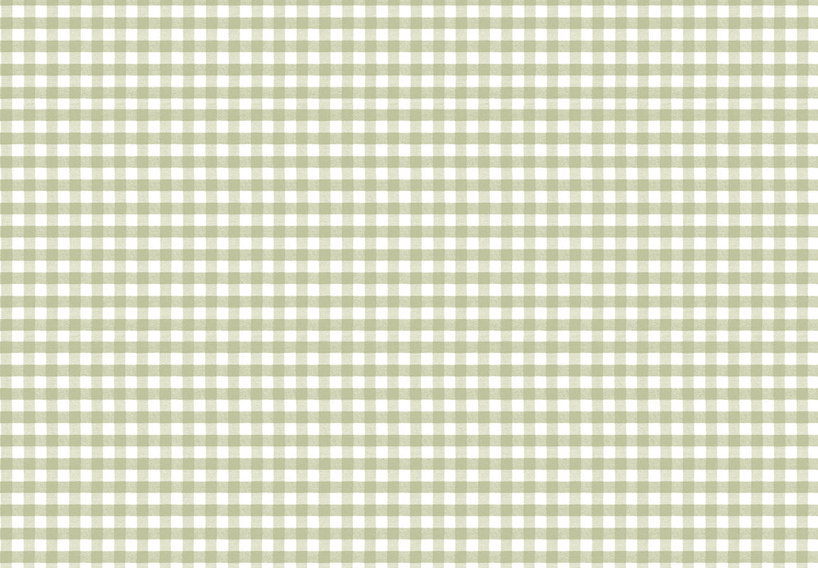 MOMI Picnic 4486