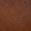 Rodeo Hairy Whiskey