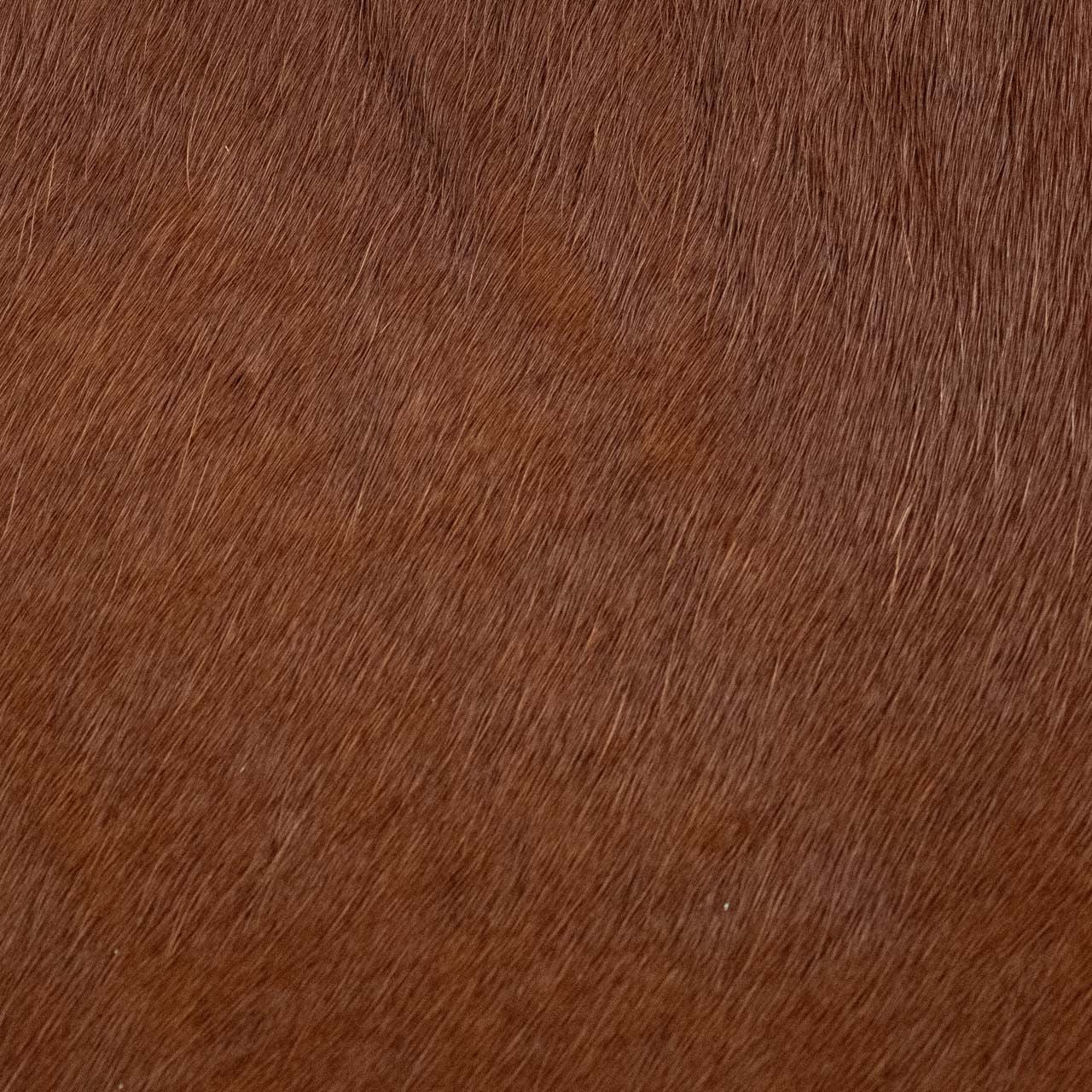 Rodeo Hairy Whiskey