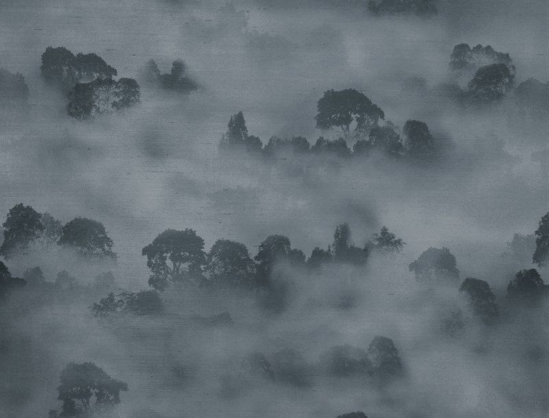 MISTY FOREST WALLPAPER (Atmosphere)