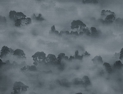 MISTY FOREST WALLPAPER (Atmosphere)