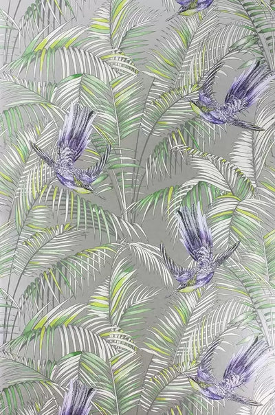 Sunbird (The Wallpaper Collection)