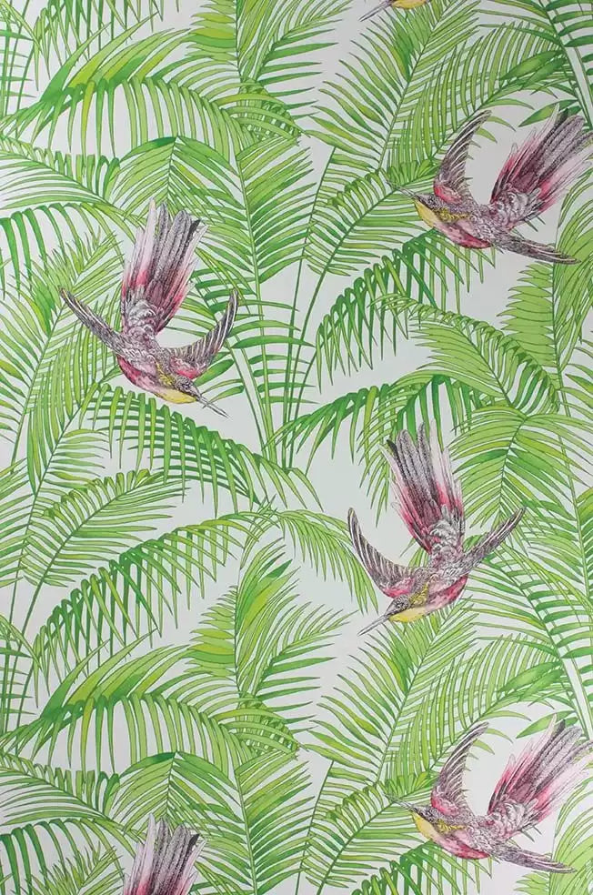 Sunbird (The Wallpaper Collection)