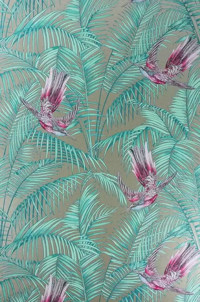 Sunbird (The Wallpaper Collection)