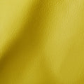 City Yellow
