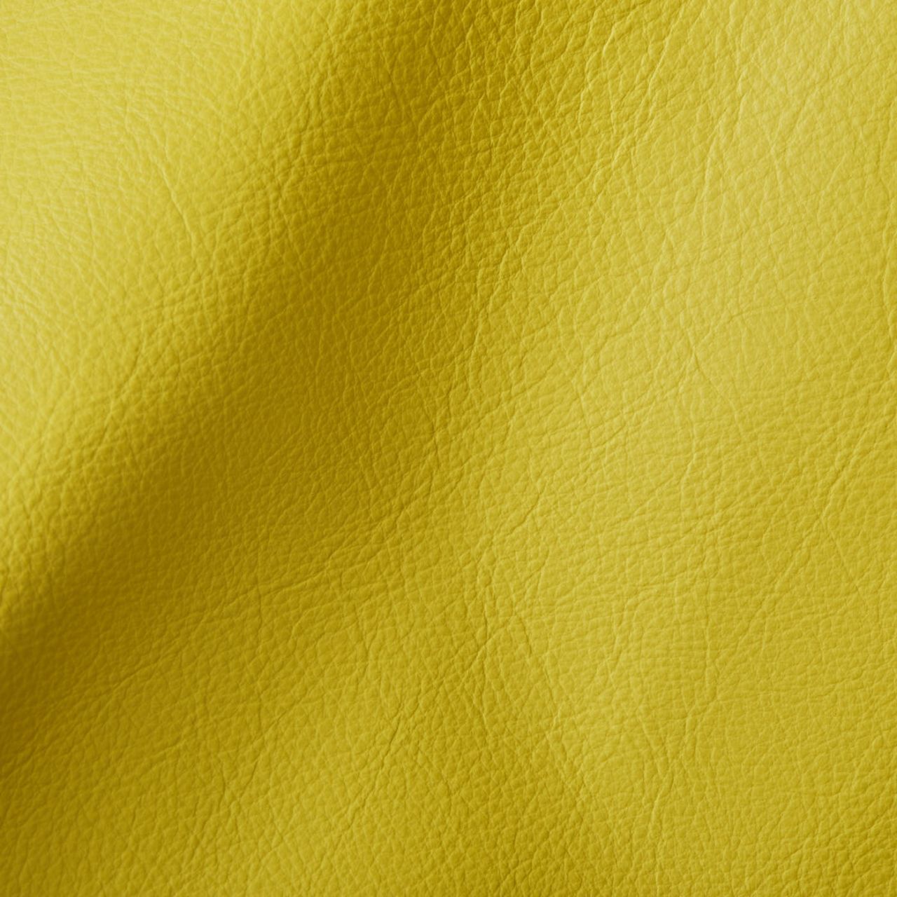 City Yellow