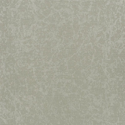 Boratti - Birch (Boratti)