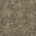Chiazza - Cocoa (Boratti)