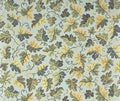 Hedera Celadon - Jardins Secrets