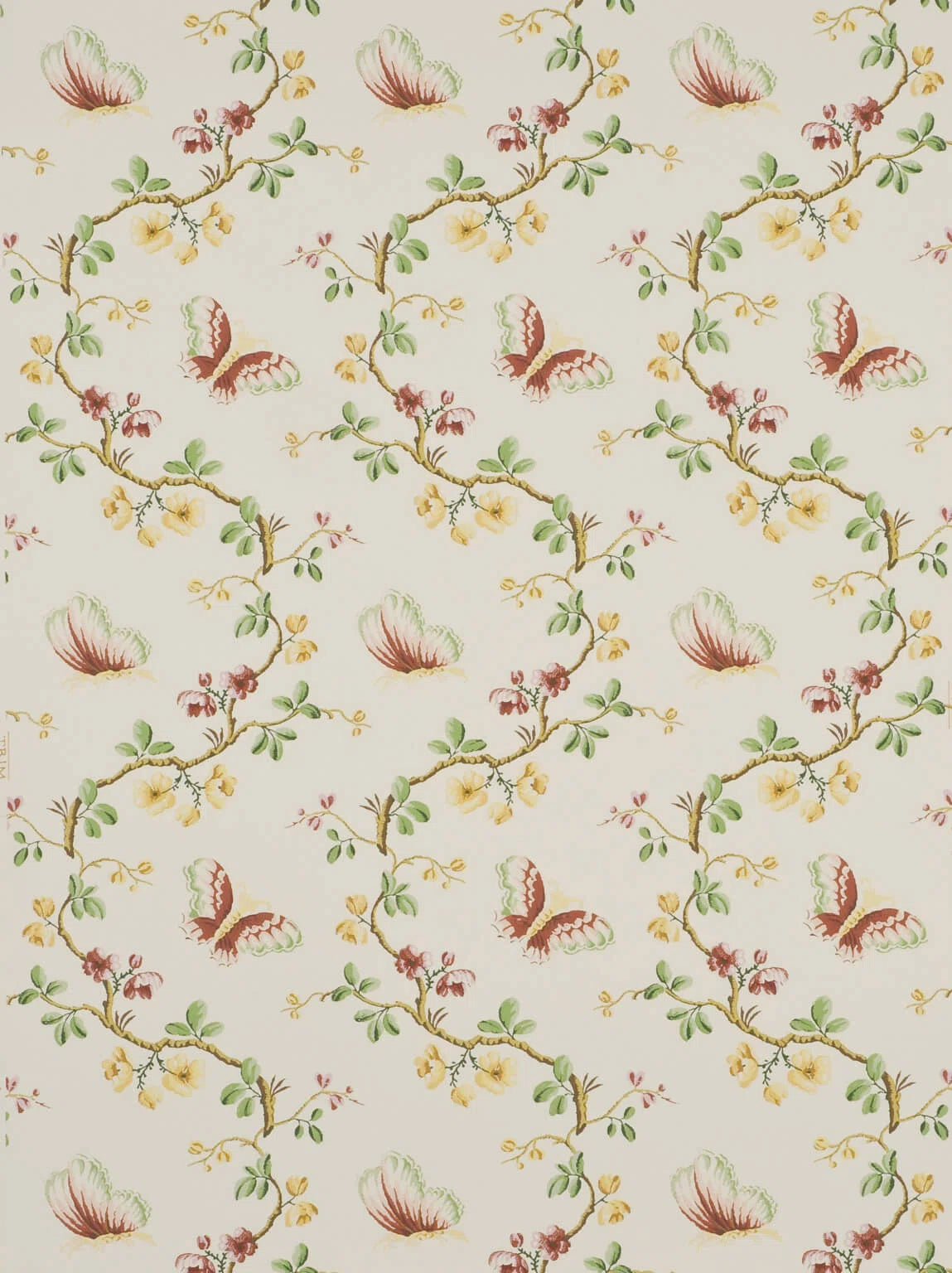 Wallpaper papillons Beige - Dessins Signatures