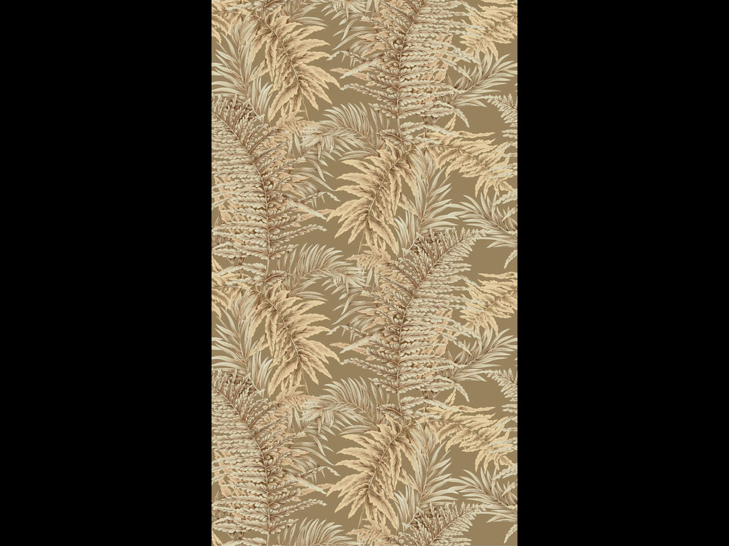 ROYAL FERN (TERRA REVERIE)