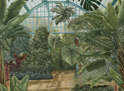 La serre Palmier - Galerie