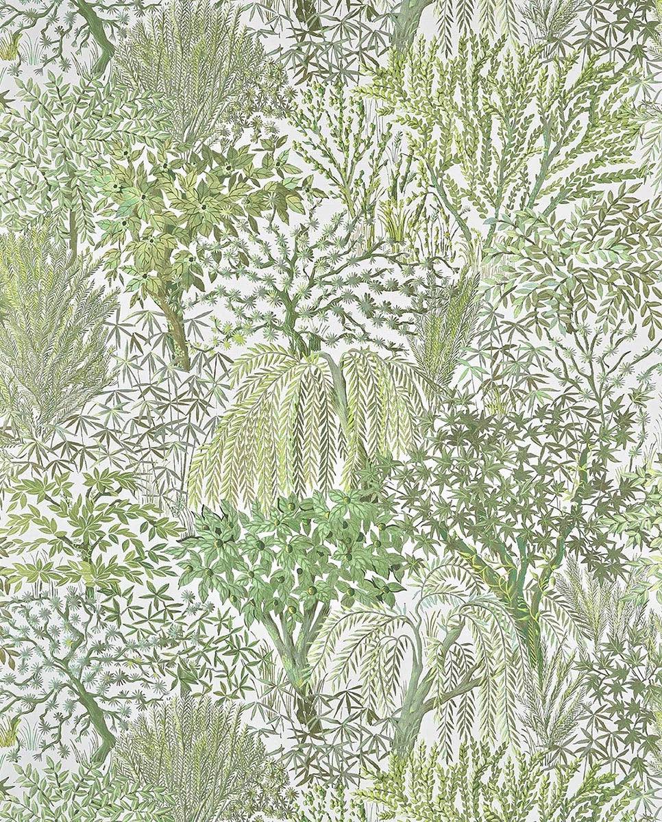 Monstera Jungle - Jardins Secrets