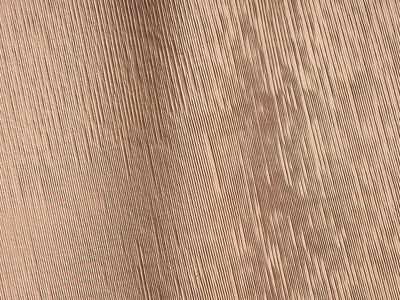 Mushroom Albicocca