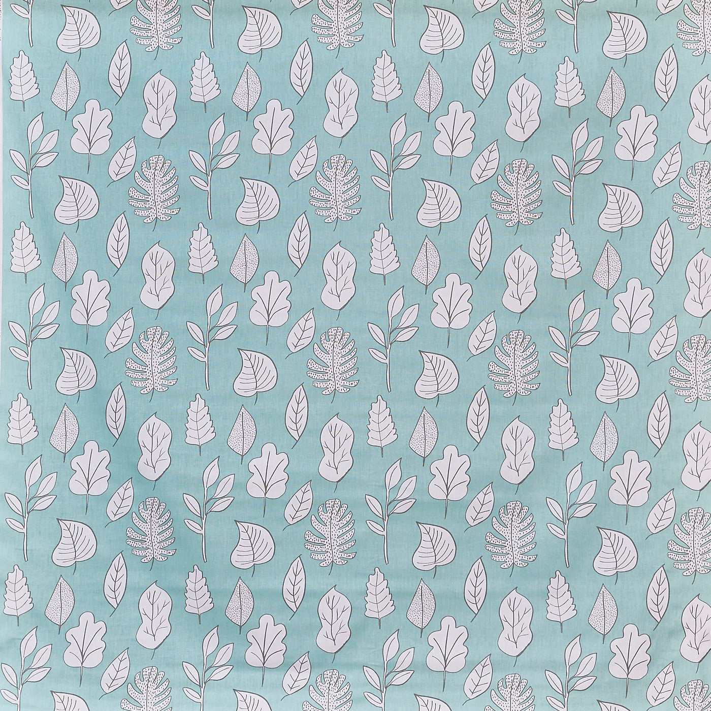 Biscayne Mint