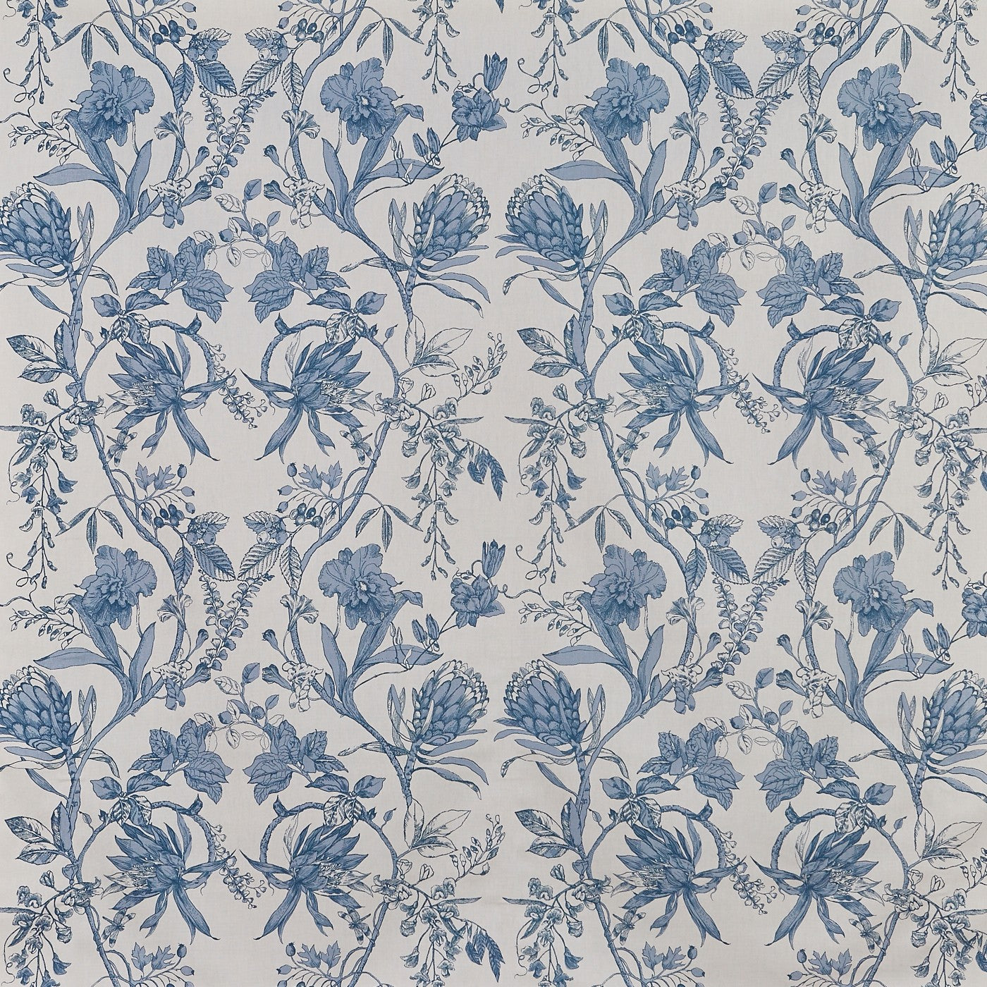 Linley Larkspur
