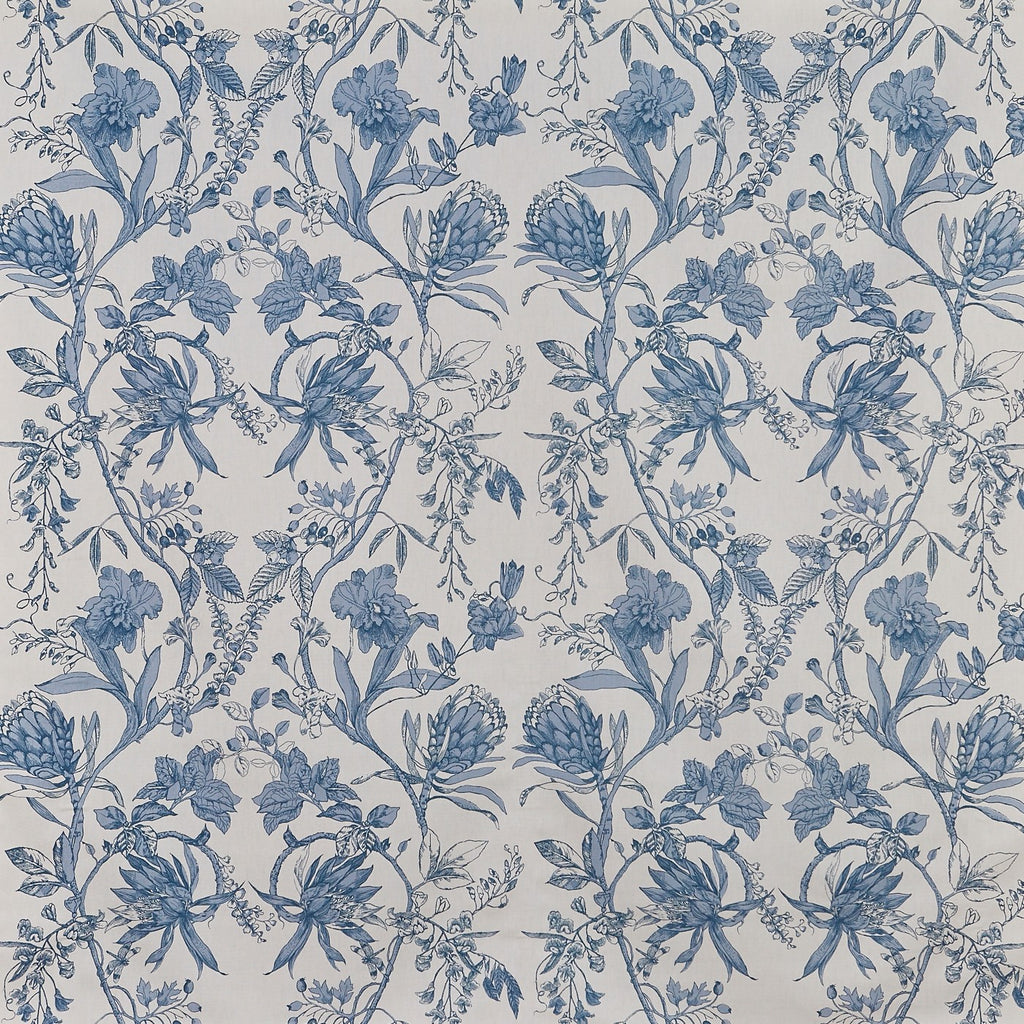 Linley Larkspur