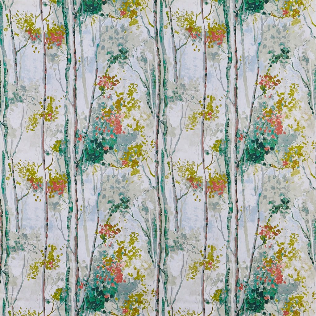 Silver Birch Willow