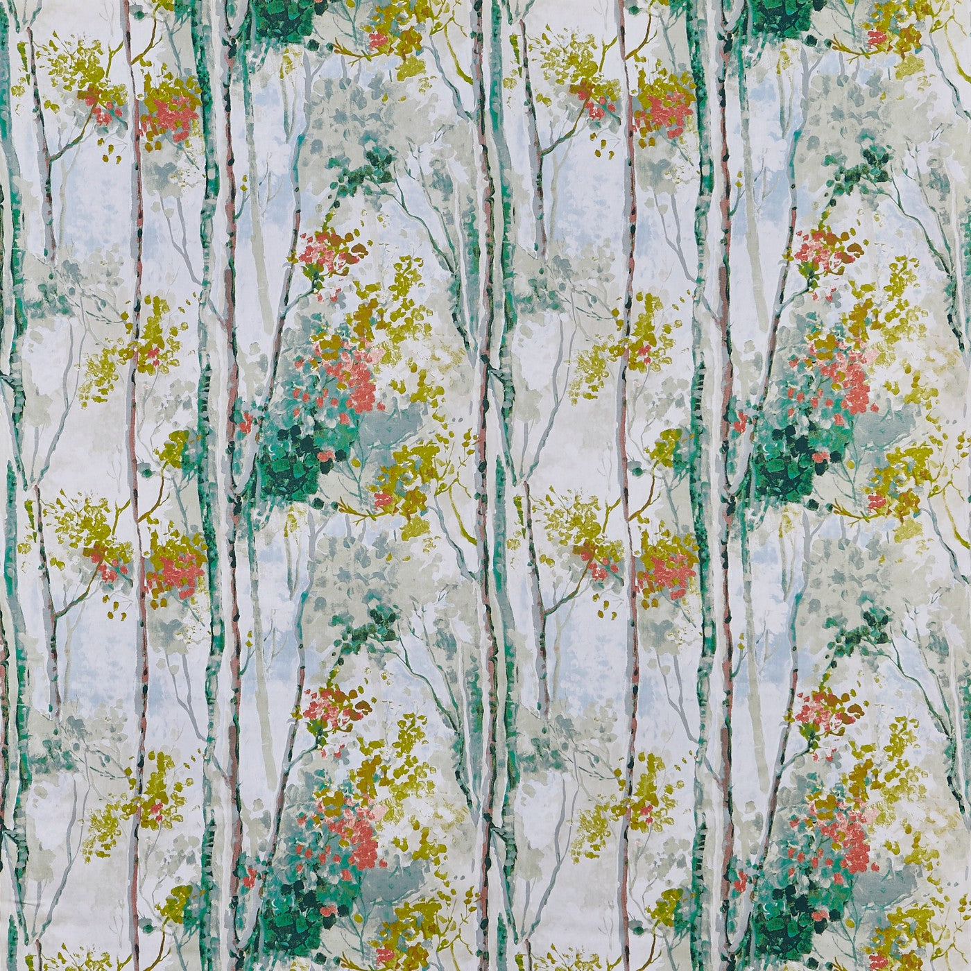 Silver Birch Willow