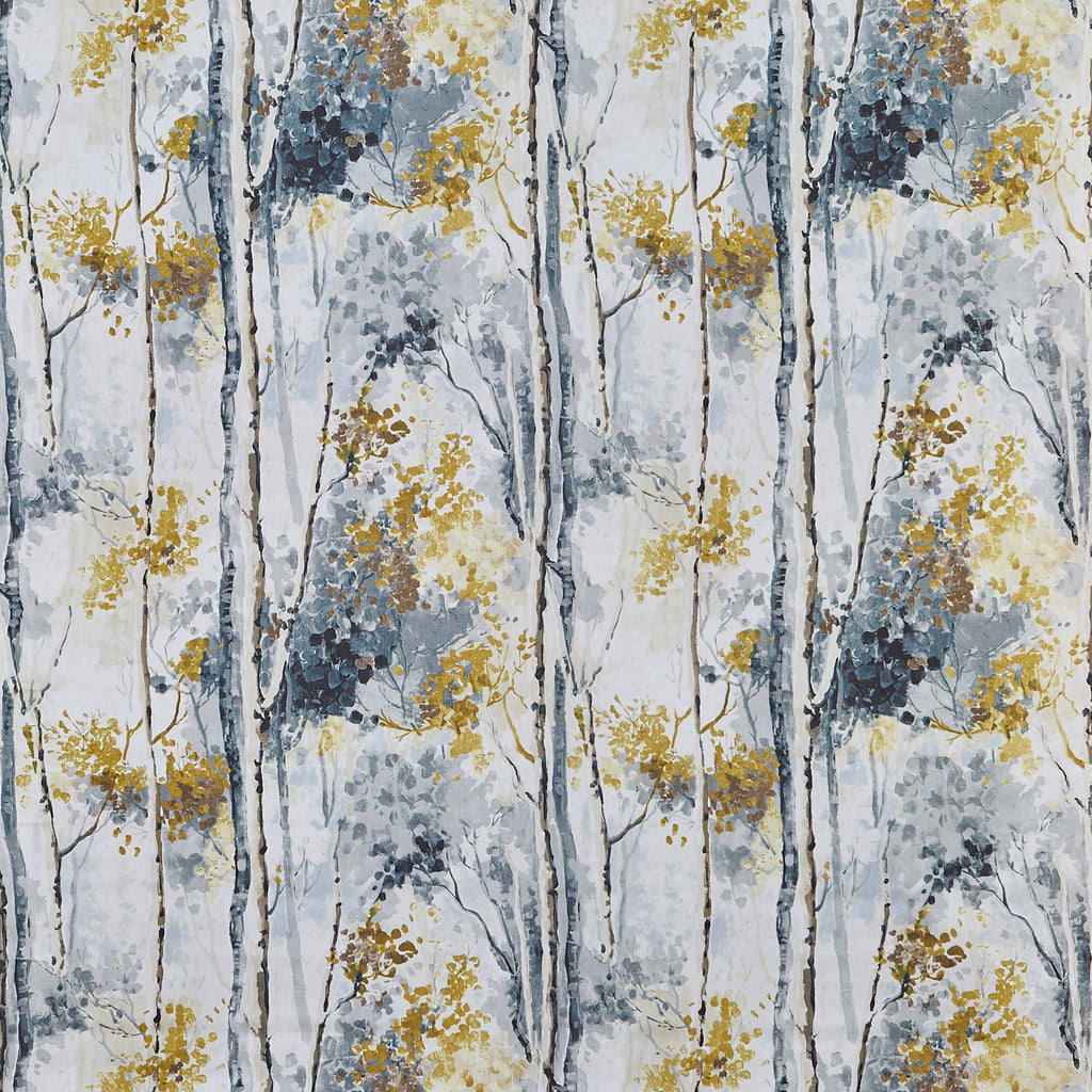 Silver Birch Shadow