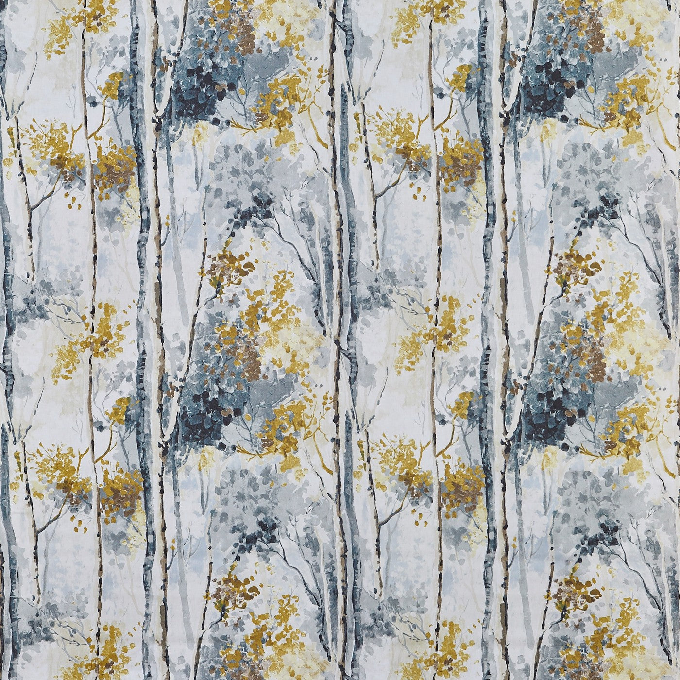 Silver Birch Shadow