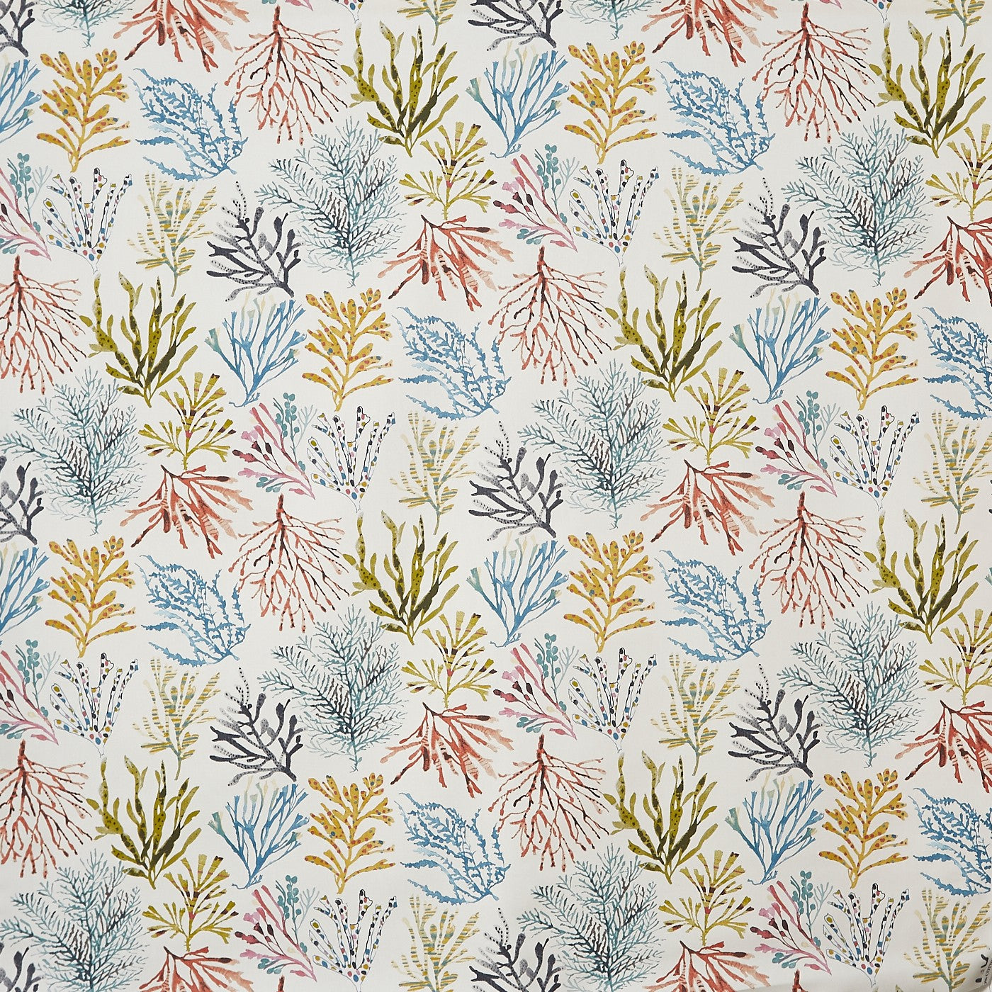 Coral Tropical
