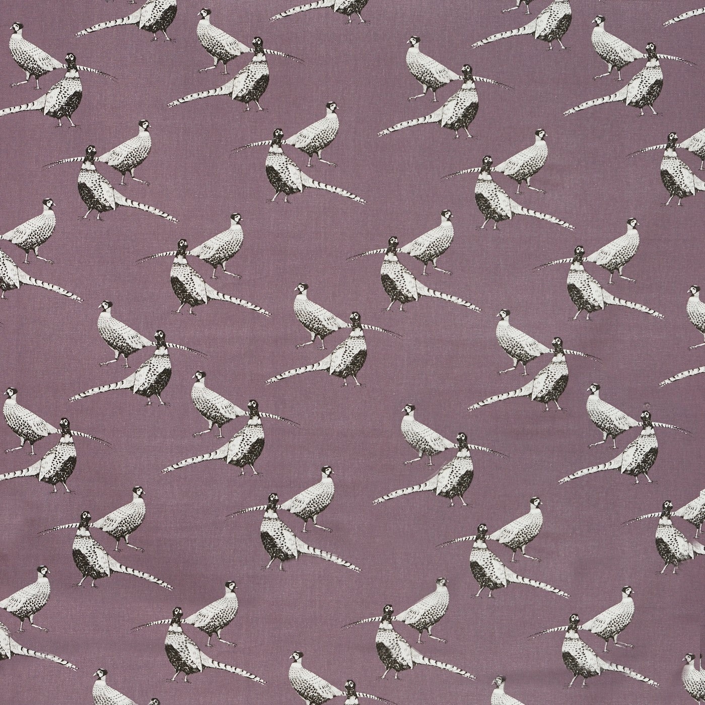 Pheasant Heather