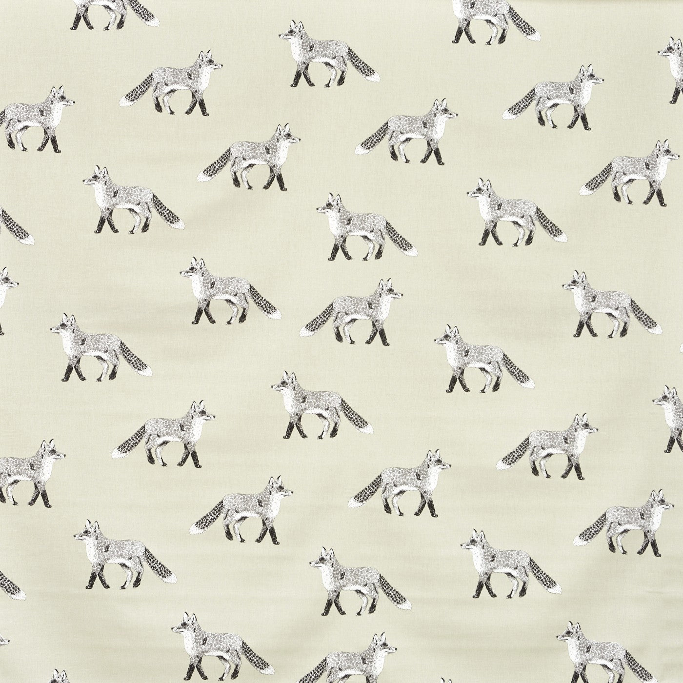 Fox Canvas