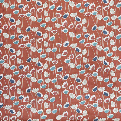 Clara Coral Reef