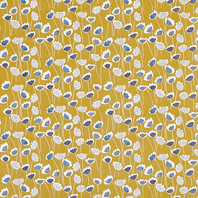 Clara Saffron