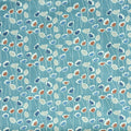 Clara South Pacific
