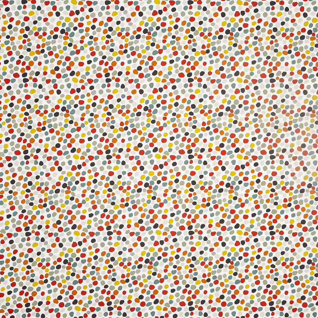 Dot To Dot Pvc Carnival