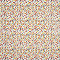 Dot To Dot Pvc Carnival