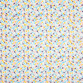 Dot To Dot Pvc Bon Bon
