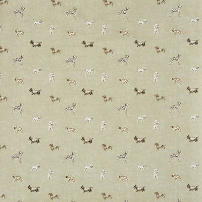 Kennels Lichen